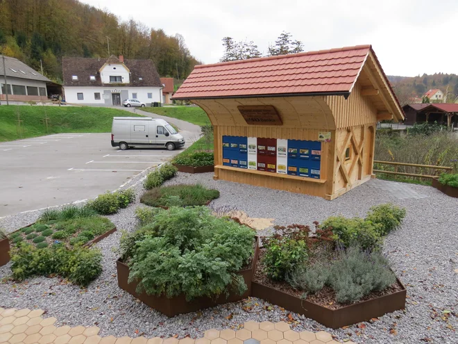Po postavitvi čebelnjaka z vrtom medovitih rastlin sredi Višnje Gore je zdaj na vrsti projekt Hiša kranjske čebele. FOTO: Bojan Rajšek/Delo
