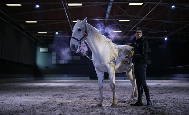 V sklopu prenove hotela in spodbudni rasti kobilarne je vodstvo predstavilo tudi novi projekt z imenom <em>Postanite šepetalec konjem</em>. FOTO: Blaž Samec