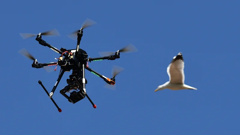 Fotografija: Britanska policija je v zvezi z nezakonito uporabo dronov v petek pridržala dve osebi. FOTO: Vincenzo Pinto/AFP