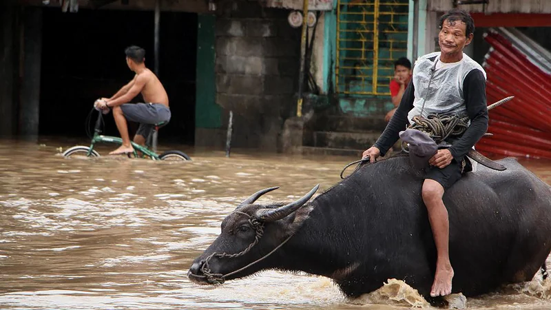 Fotografija: Filipine na letni ravni zajame okoli 20 ciklonov, ki terjajo na stotine življenj. FOTO: Afp