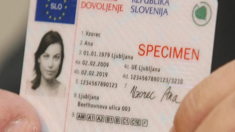 Fotografija: Slovensko vozniško dovoljenje lahko po selitvi brez težav uporabljate v številnih evropskih državah. FOTO: Tomi Lombar