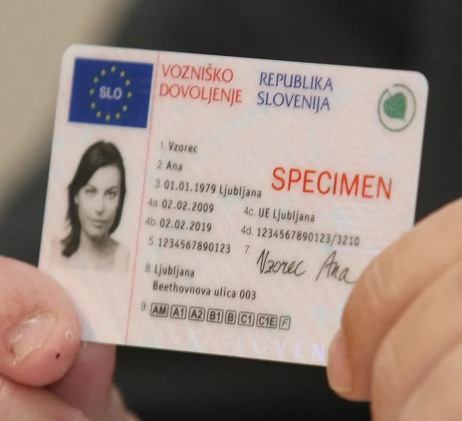 Slovensko vozniško dovoljenje lahko po selitvi brez težav uporabljate v številnih evropskih državah. FOTO: Tomi Lombar