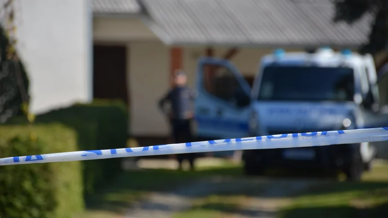 Fotografija: Lani je v Sloveniji nasilne smrti umrlo 12 ljudi, poleg tega je bilo še 25 poskusov umorov oziroma ubojev. FOTO: dokumentacija Dela