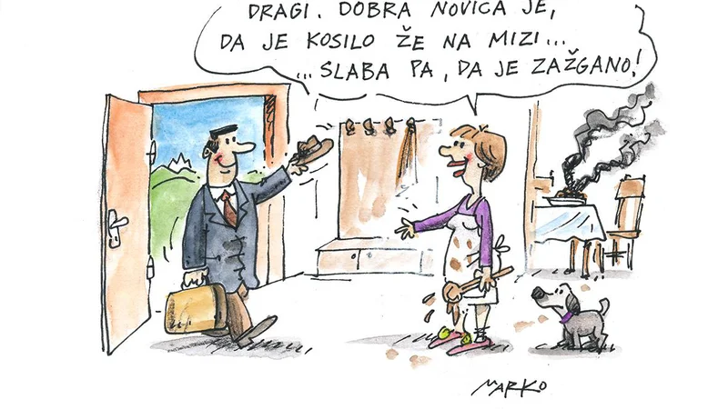 Fotografija: KARIKATURA: Marko Kočevar