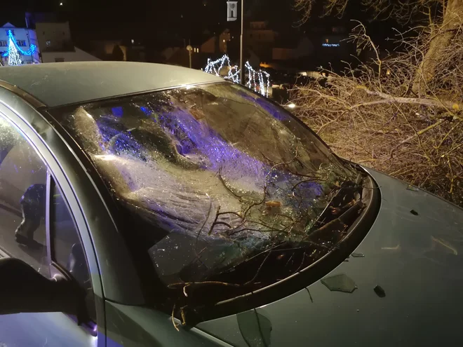 Razbito vozilo, na katerega je v Tržiču padlo drevo. FOTO: Urh Hladnik