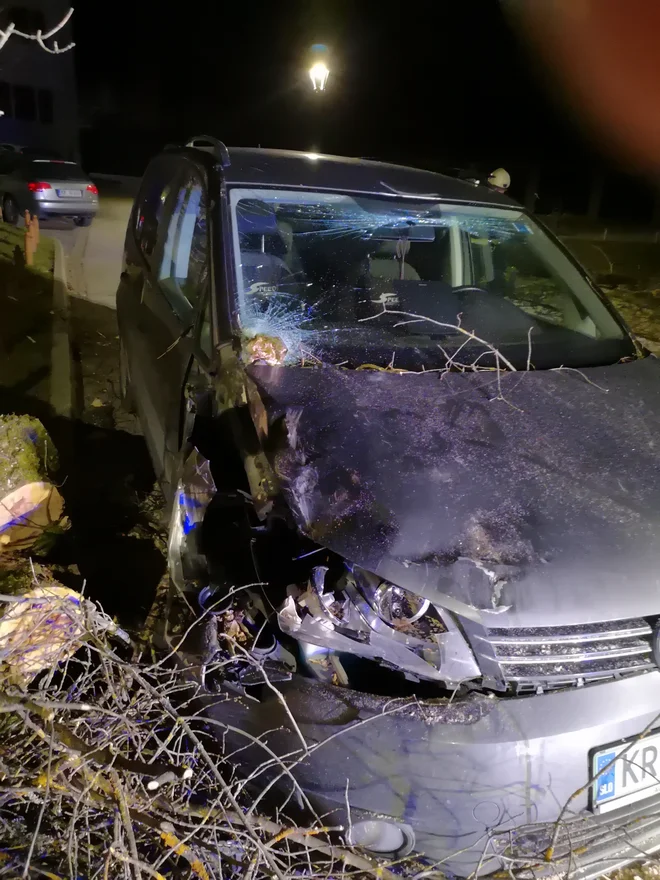 Drevo je na avto podrl močan veter. FOTO: Urh Hladnik