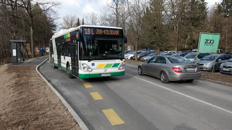 Fotografija: Novo postajališče Živalski vrt. FOTO Mavric Pivk