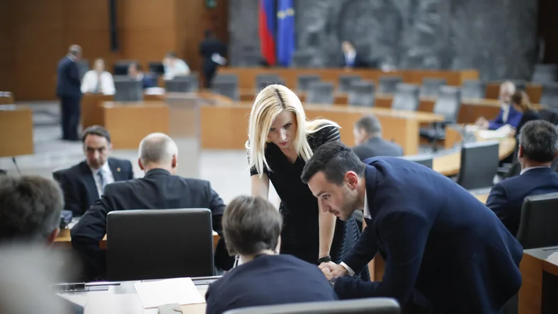 Fotografija: Pred poslanci, ki bodo 10. januarja vnovič začeli redna zasedanja, bodo najprej na vrsti kadrovska vprašanja. FOTO: Uroš Hočevar/Delo