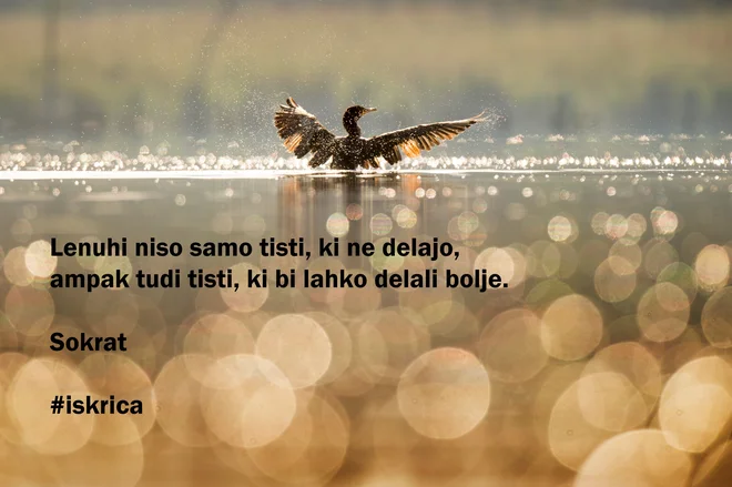 Sobotna iskrica dneva. FOTO: Delo