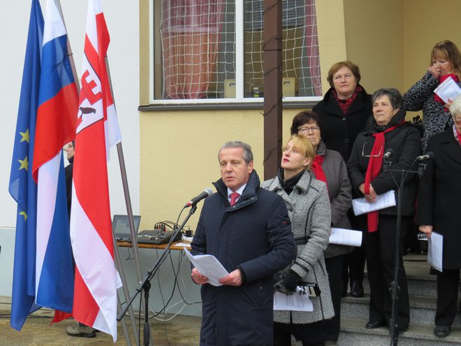 Zbrane je nagovoril evropski poslanec Igor Šoltes. FOTO: Bojan Rajšek/Delo