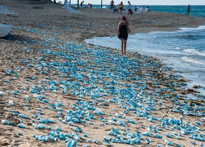 FOTO: Shutterstock.com
