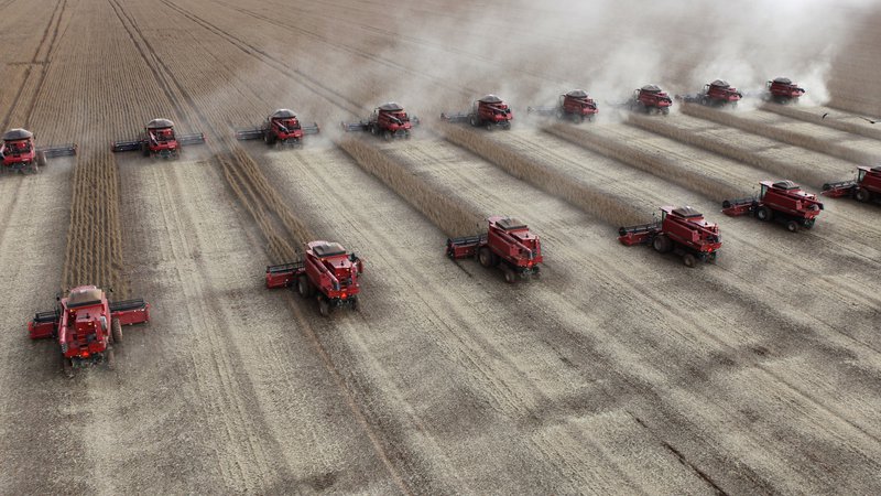 Fotografija: Ameriški delež v evropskem uvozu soje je že 74,5-odstotni. FOTO: Reuters