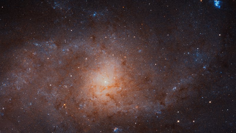 Fotografija: Galaksija v Trikotniku ali Messier 33. Fotografija je mozaik 54 posameznih posnetkov vesoljskega teleskopa Hubble. 
FOTO: NASA, ESA, and M. Durbin, J. Dal