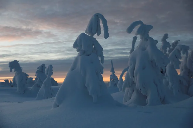 Zasnežena gora Szczyrk na Poljskem. FOTO: Kacper Pempel/ Reuters