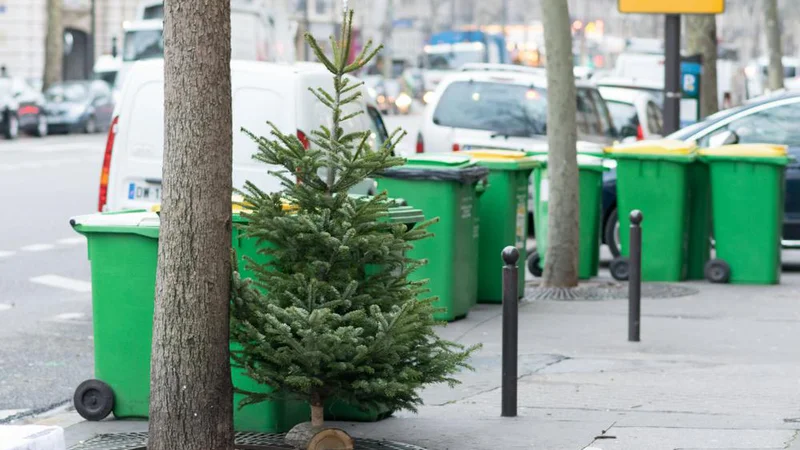 Fotografija: Uporabite lahko prav vse dele jelke, le prej z nje odstranite vse okraske in vrvice. Foto: Shutterstock