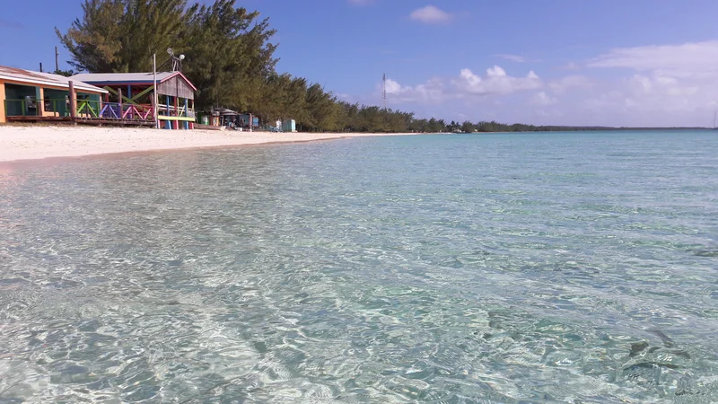 Fotografija: Tu ni ladij za križarjenje, čudovite kilometrske peščene plaže ob turkiznem morju pa so prazne. Kakor ta pri naselju New Bight. FOTO: Marko Jenšterle