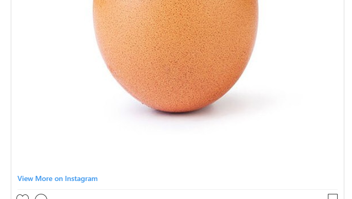 Fotografija: Jajce je nova zvezda instagrama. FOTO: Instagram