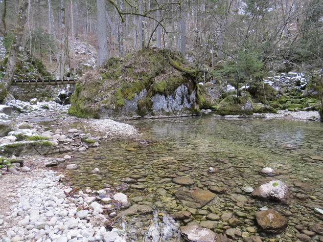 Nekatere izvire ob poti, med drugimi tudi izvir Kamniške Bistrice, nameravajo opremiti s klopmi, mizami in s skodelicami za zajemanje vode. FOTO: Bojan Rajšek/Delo