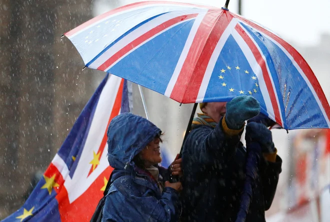 Nasprotniki brexita pred poslopjem britanskega parlamenta v Londonu. FOTO: REUTERS/Henry Nicholls