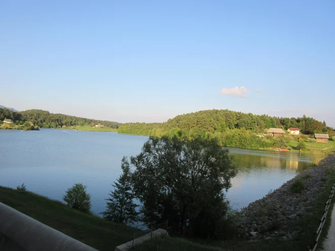 Šmartinsko jezero je eno večjih akumulacijskih jezer v državi; v njem ni prav dosti kisika. Foto Špela Kuralt/delo