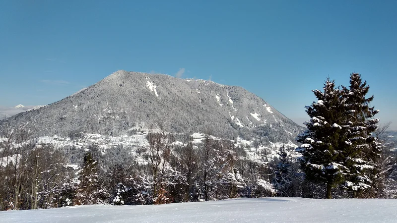 Fotografija: Zimski pogled na Kojco iz Bukovskega Vrha.