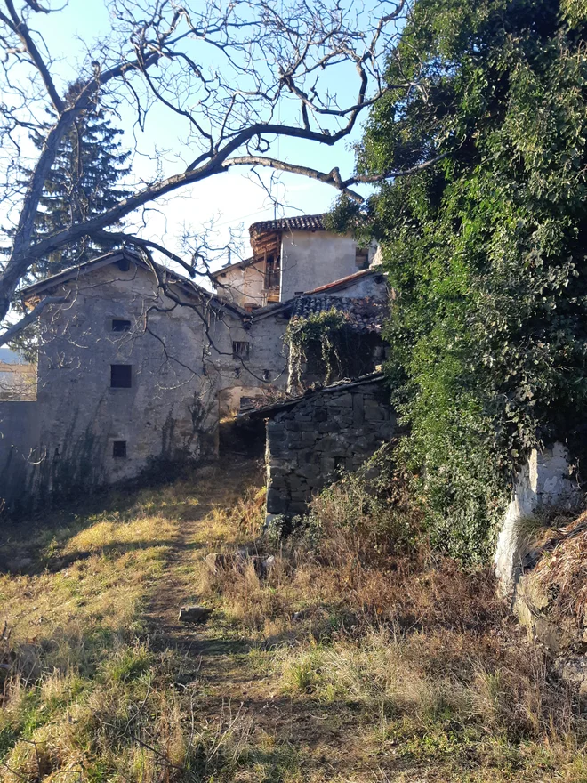 Slapnik, vas v Goriških brdih, nezadržno propada. Zdaj je skrajni čas, da jo obnovijo. FOTO: Janez Tomažič