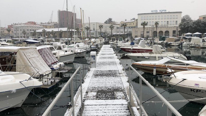 Fotografija: Sneženje na Obali. FOTO: Aljaž Vrabec/Delo