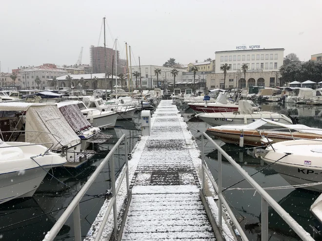 Sneženje na Obali. FOTO: Aljaž Vrabec/Delo