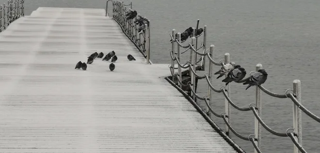 Sneg pobelil portoroške pomole. Foto Boris Šuligoj