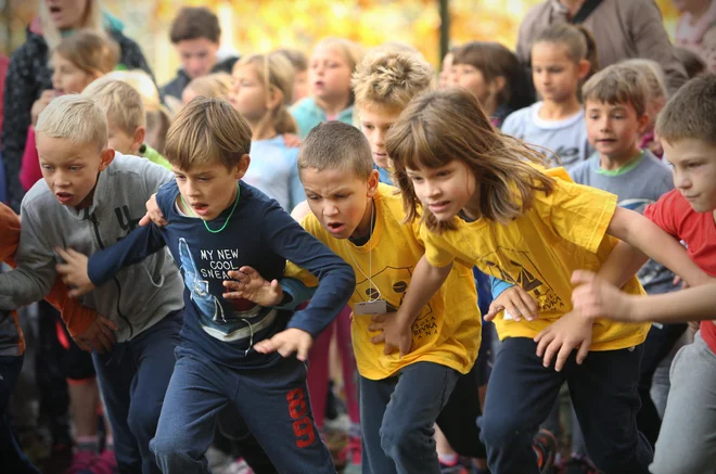 Lahko se strinjamo, da je naš šolski sistem mogoče občutno izboljšati. FOTO: Jure Eržen/Delo