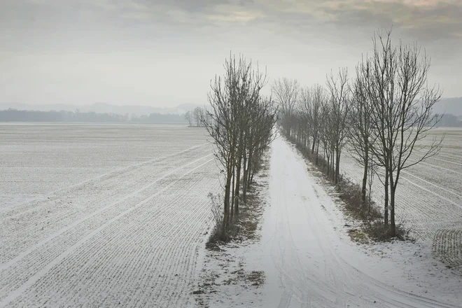 Območje njiv med Apačami in Vratjo vasjo, kjer avstrici kopujejo slovensko zemljo. 25. januar 2019