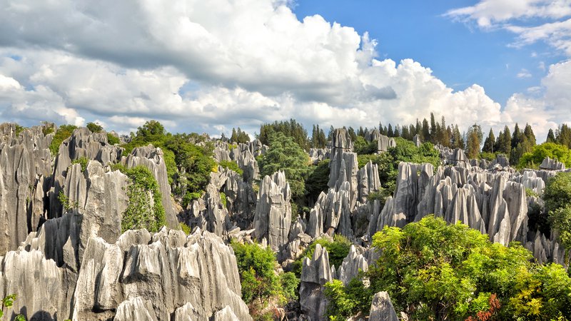 Fotografija: Kamnite gozdove v provinci Junan obišče 10 milijonov ljudi na leto. Fotografije Igor Bratož