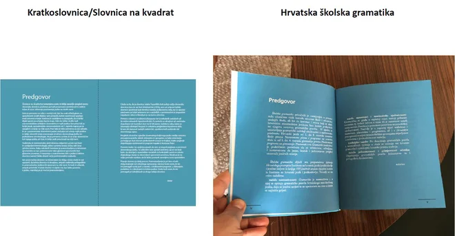 Predgovora obeh slovnic &ndash; naključje ali ne naključje? FOTO: Wojtek Grudzinski