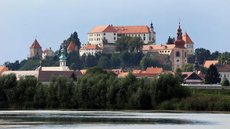Fotografija: Ptujsko jezero. FOTO: Tadej Regent/Delo