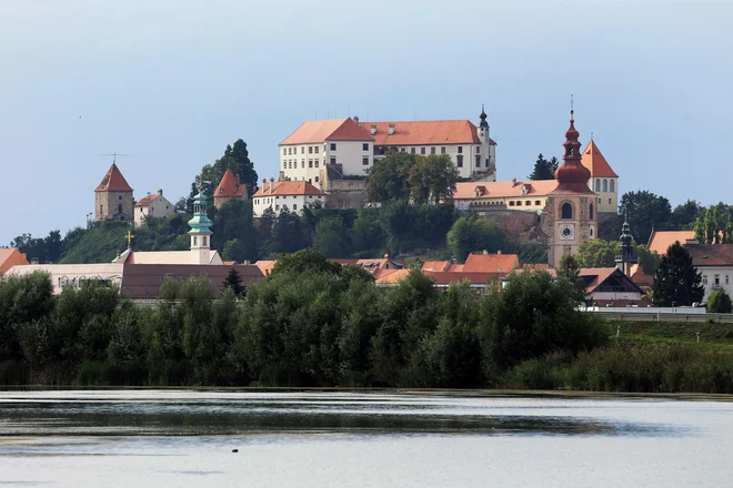 Ptujsko jezero. FOTO: Tadej Regent/Delo