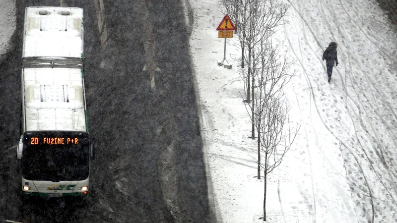 Fotografija: Na enki in šestici od ponedeljka nekaj manj avtobusov FOTO Roman Šipić/Delo