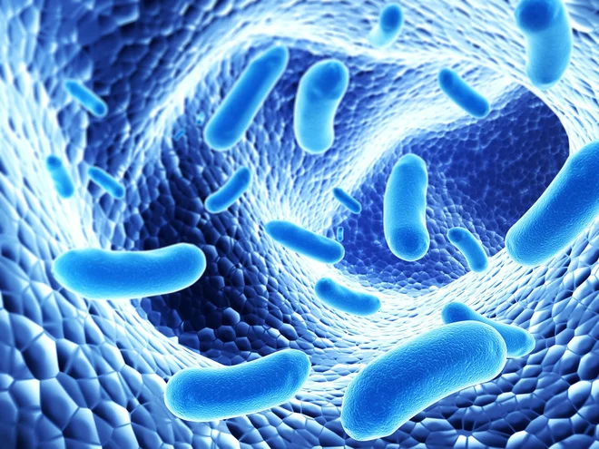 Colony of pathogen bacterias - 3d render