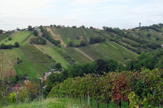 Pogled proti Lendavi s Karabiroša. FOTO: Dušan Dundek