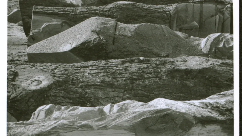 Fotografija: Stane Jarm pri izdelovanju Križevega pota Slovencev za Kočevski rog leta 1998 Foto Tihomir Pinter