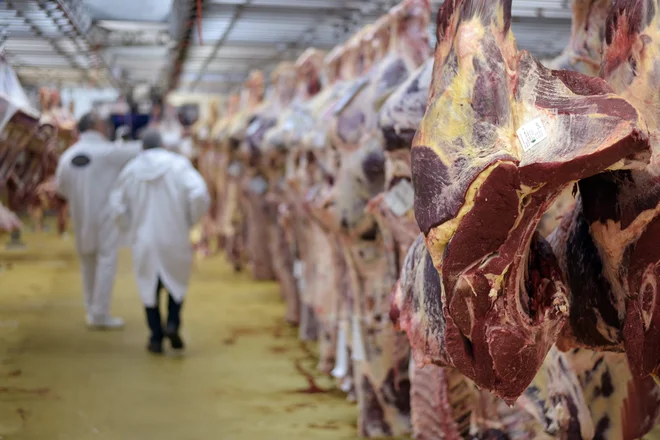 Pravila nadzora nad pridelavo, predelavo in distribucijo živil so za vse države članice Evropske unije harmonizirana, način izvajanja pa je odvisen od kakovosti nadzornega sistema. FOTO: AFP