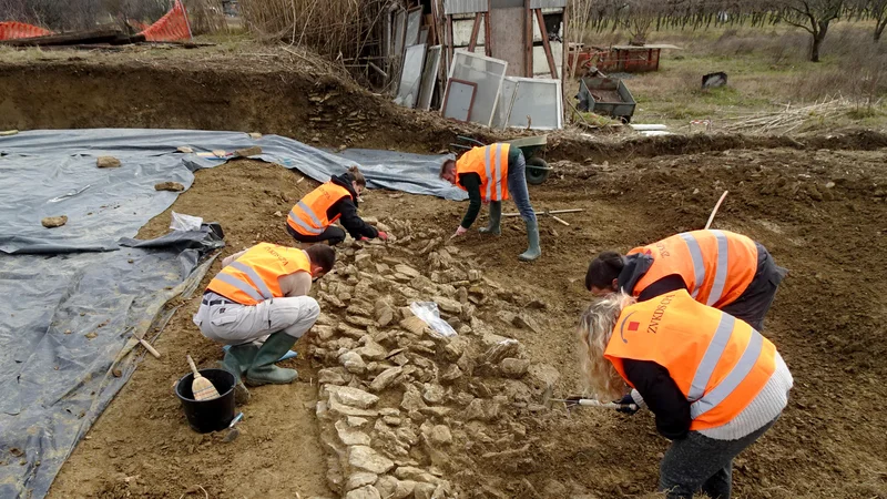 Fotografija: Arheologi Zavoda za varstvo kulturne dediščine morajo izkopavanja na trasi drugega tira končati do konca septembra. FOTO: Miha Murko