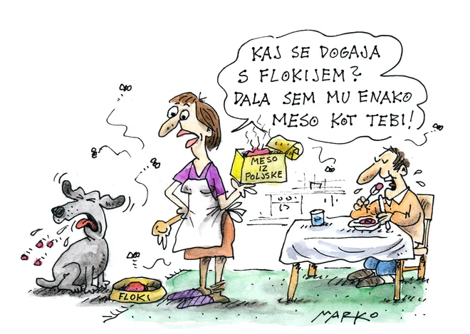 Karikatura: Marko Kočevar&nbsp;