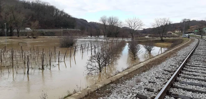 Vipava poplavlja pri Saksidu. FOTO: Petra Štolfa