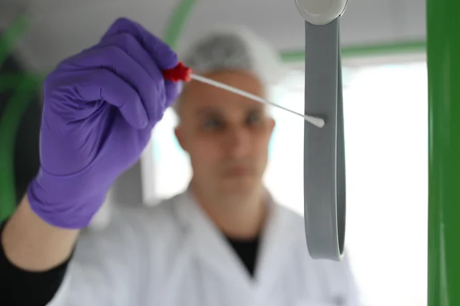 Vzorce brisov je sodelavec laboratorija odvzel z gumbov stop pri vstopnih in zadnjih vratih, droga za držanje na prostoru za invalide, gumiranega držala in držala v mehu avtobusa. FOTO: Tomi Lombar