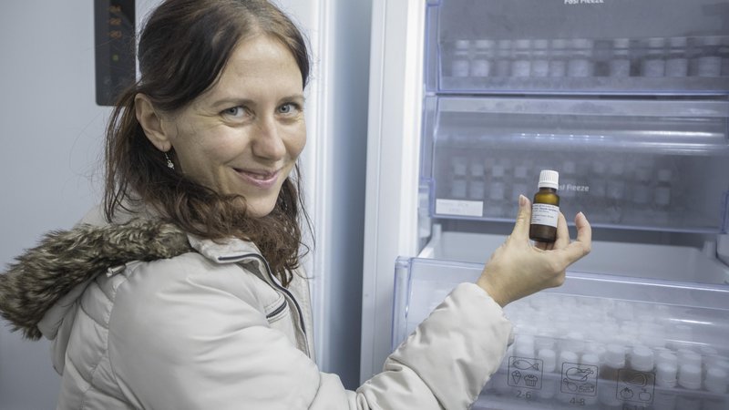 Fotografija: S shrambo v hladilnikih in zamrzovalnikih podaljšajo dolgoživost semen, je pojasnila raziskovalka Blanka Ravnjak iz Botaničnega vrta Univerze v Ljubljani. FOTO: Voranc Vogel