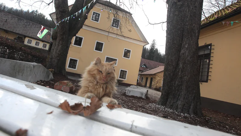 Fotografija: Večina ne bi želela izstopiti iz lastništva, ampak bi svojo nepremičnino zamenjali za bolj primerno, denimo hišo za oskrbovano stanovanje. FOTO Mavric Pivk/Delo