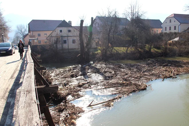 Neurejenost vodotoka in navzočnost bobra kažejo tudi naplavine, ki se ob mostovih naberejo ob vsaki večji vodi, pravi kostanjeviški župan Ladislav Petretič. Foto Simona Fajfar