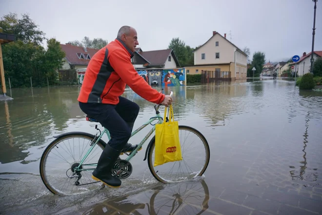 Kostanjevica na Krki je med poplavno najbolj ogroženimi območji pri nas, saj voda zalije otok ob skoraj vsakem dolgotrajnejšem deževju. Foto Janoš Zore