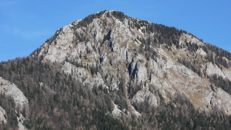 FOTO:&nbsp;Ankele Špela