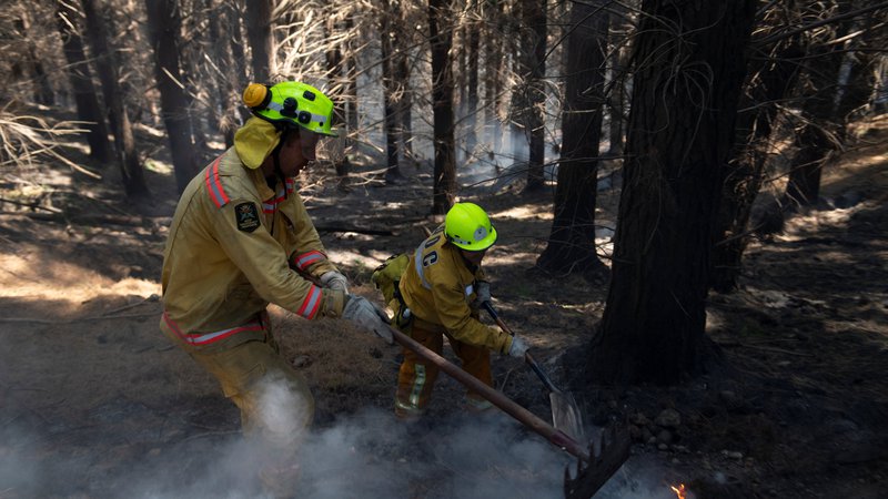 Fotografija: Na srečo plameni niso zahtevali smrtnih žrtev. FOTO: Handout Reuters
